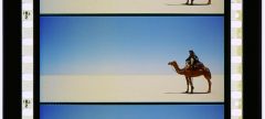 Mehr Informationen zu "Lawrence of Arabia (1962)"
