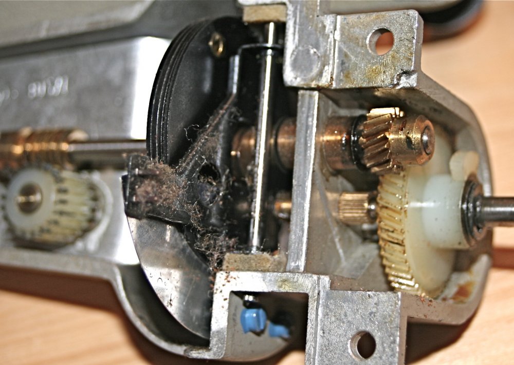 P8 Greif+Bl verschmutzt.JPG