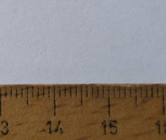 IMG_1244.jpg