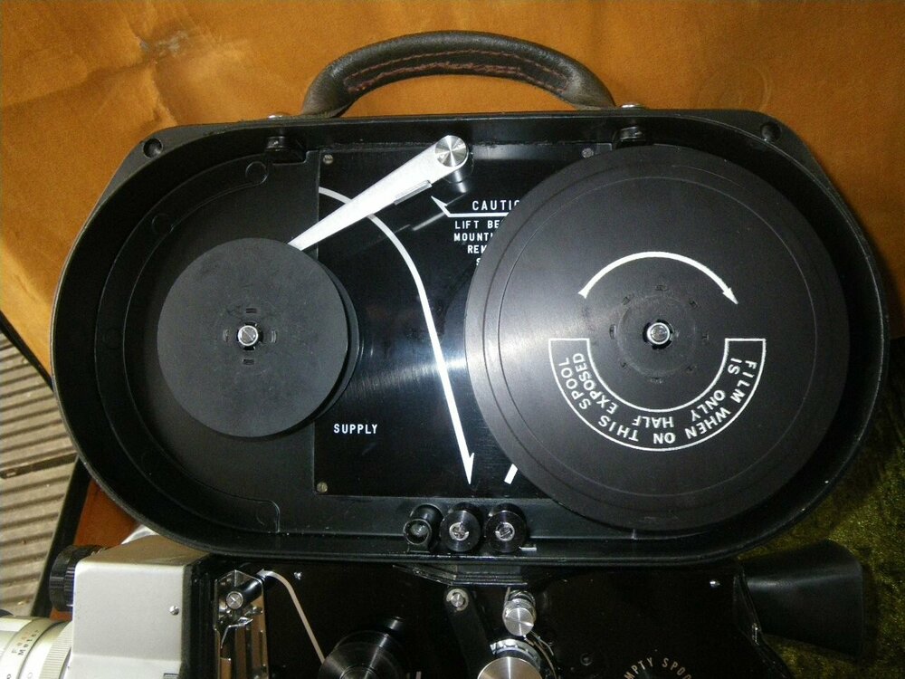 Fairchild 9000467.JPG