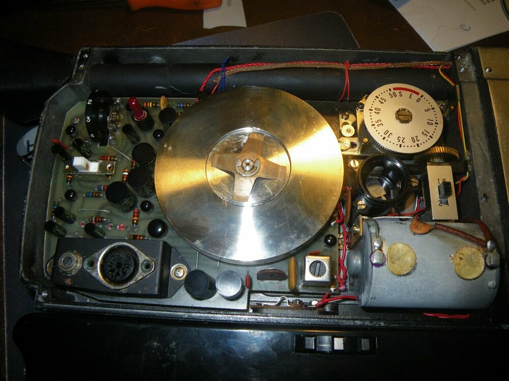 Fairchild 9000472.JPG