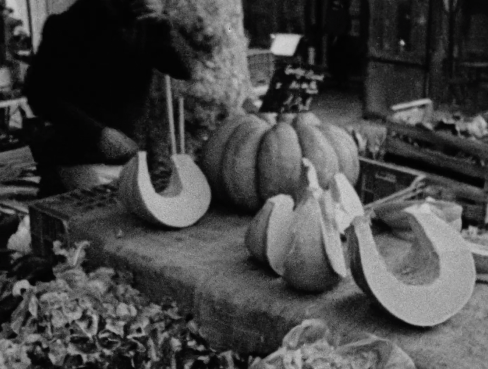 Bildschirmfoto 2022-02-08 um 12.24.43.png