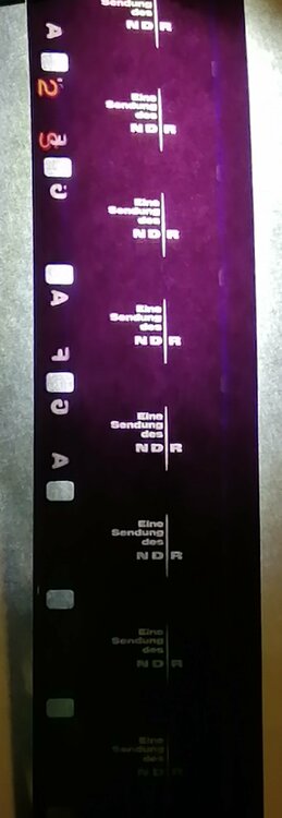 IMG_20220703_164617 (3).jpg