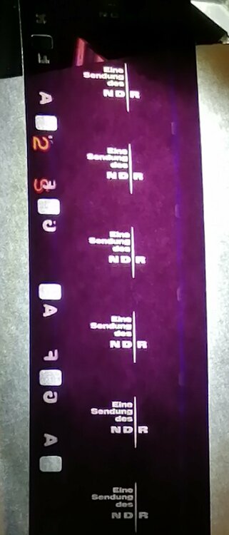 IMG_20220703_164617 (2).jpg