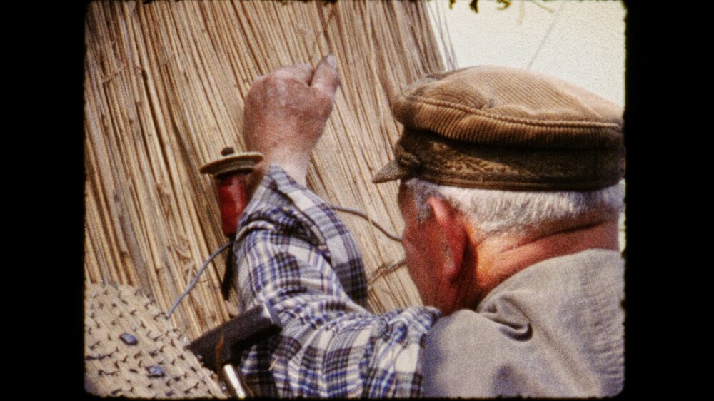 Super 8 Scan Beispiel - 1.jpg