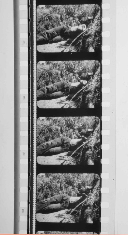 shifttrk bunuel IMG_1096_cc_rot_web.jpg