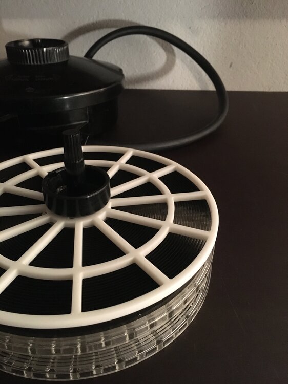 Lomo Top Spirale.JPG