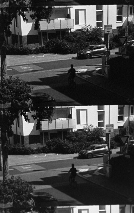 Negative inverted D96 5'_1.jpg