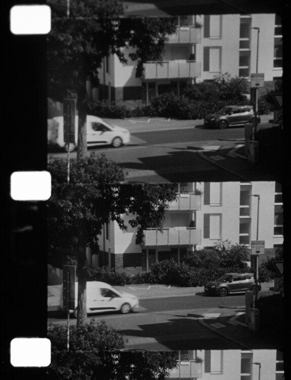 Reversal A71 1+1 3'30_1.jpg