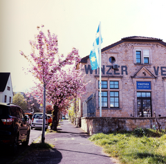 Deidesheim 1.png