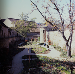 Deidesheim 3.png