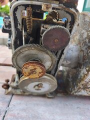 IMG_191955.jpg