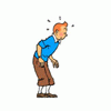 tintin